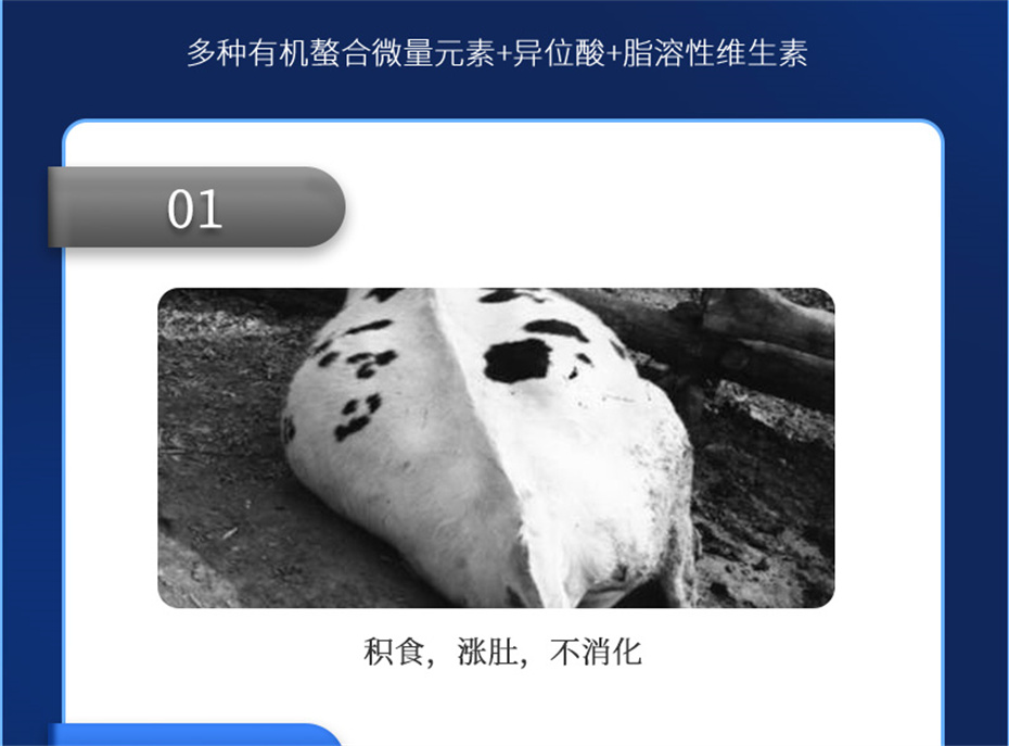bc¼ţӼţ׳챦Ʒ