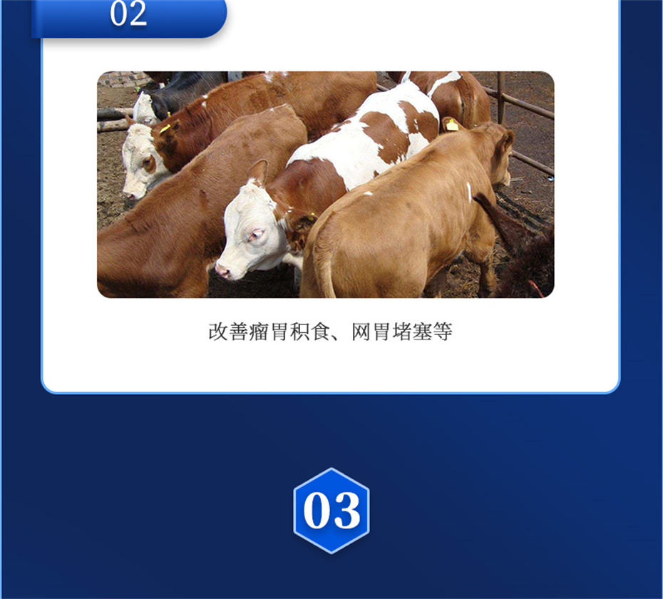 bc¼ţӼţ׳챦Ʒ
