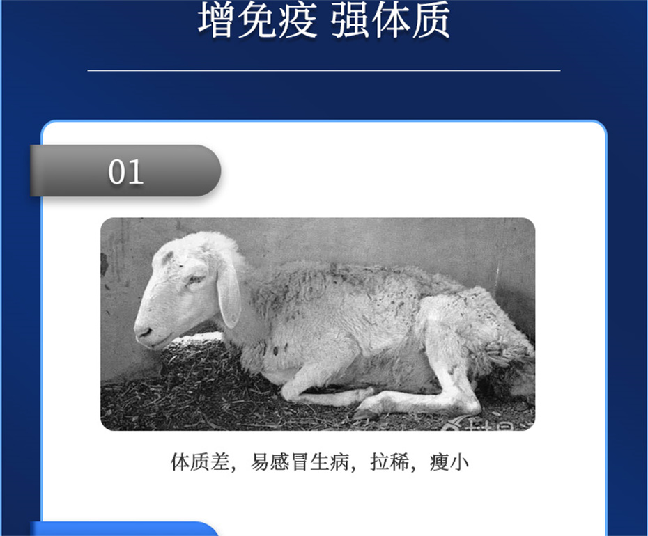 bc¼ţӼţ׳챦Ʒ