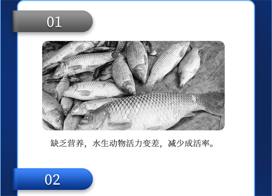 bc¼ˮӼά1ŲƷ