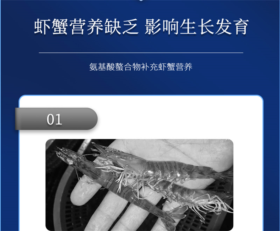 bc¼ˮӼϺƷ