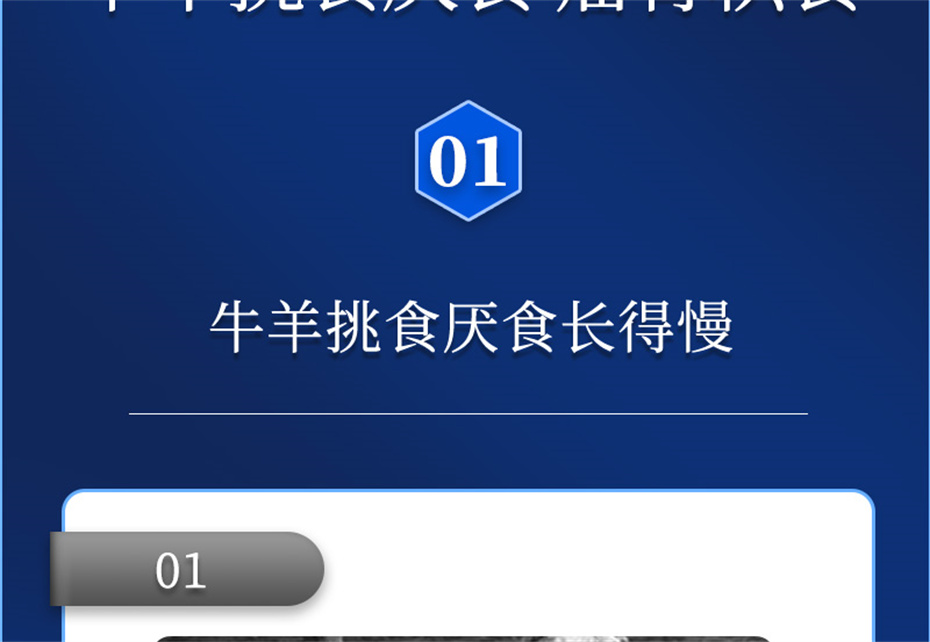 bc¼ţӼţ׳챦Ʒ