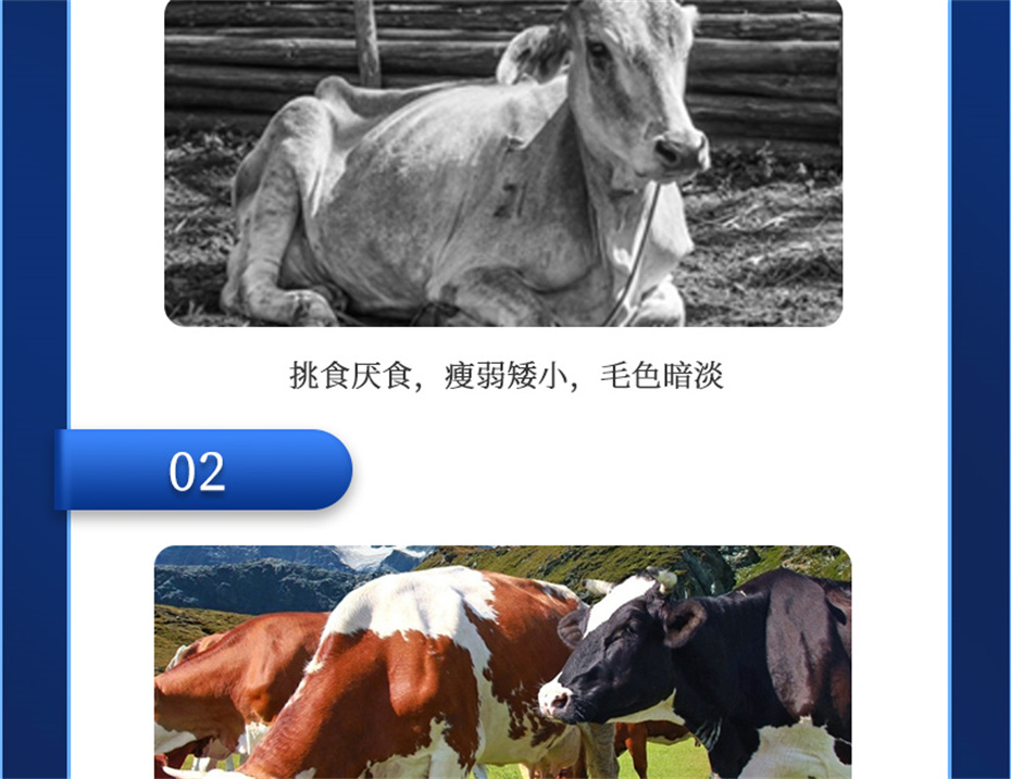bc¼ţӼţ׳챦Ʒ