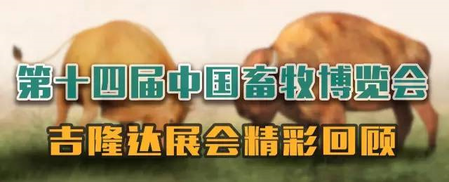 bc¼չй
