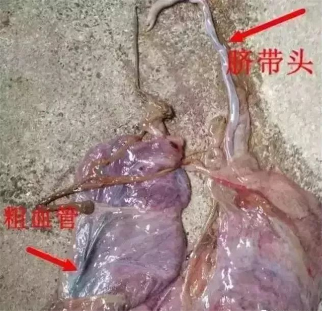 жĸǷ1ͷ